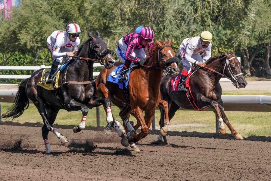 Big Fresno Fair saddling up for two weeks of live horse racing Yahoo