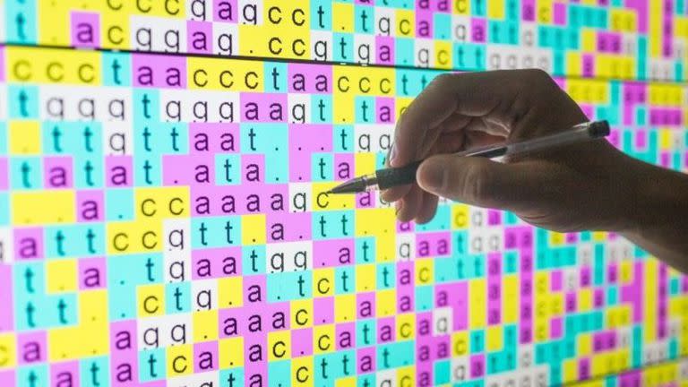 Cada letra del genoma es la inicial de un compuesto químico con diferentes cantidades de carbono, hidrógeno, oxígeno y nitrógeno