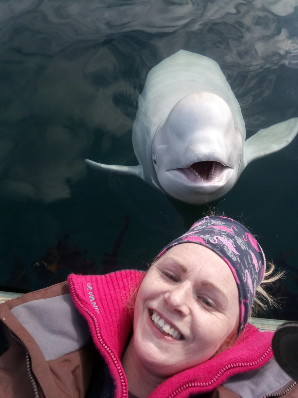 Linn Saether poses with Hvaldimir days after a fisherman removed a harness with a camera mount from the beluga whale, in Tufjord, Norway. (Photo: Linn Saether via AP)