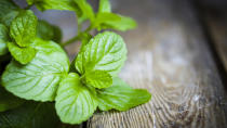 If you suffer from hormonal breakouts, peppermint tea could be your answer. “It boosts oestrogen levels in some women which can help curb hormonal skin problems,” says Purcell. Try adding peppermint tea to your bath water or a face steam. “So healing are its properties that it can help soothe burns and rashes as well as other facial inflammations.”