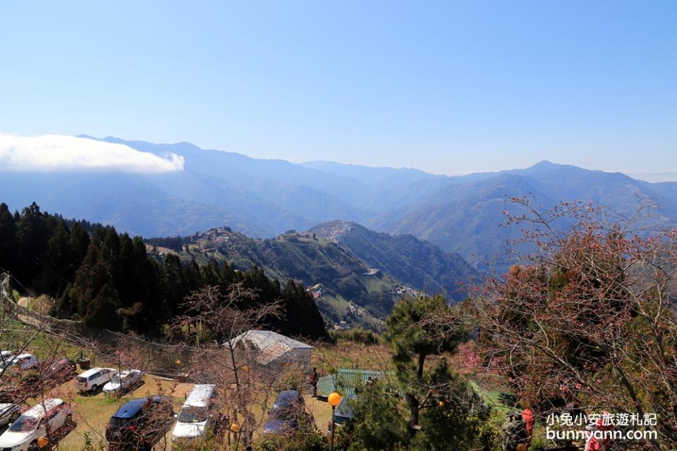 拉拉山恩愛農場櫻花季