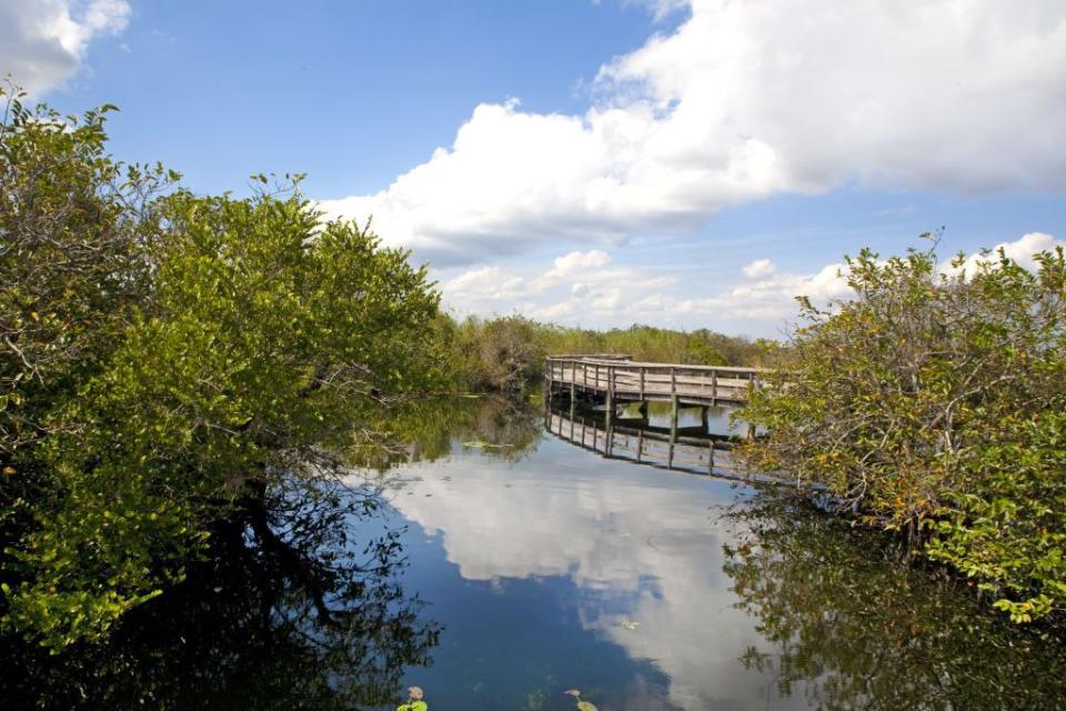 Florida: Anhinga Trail