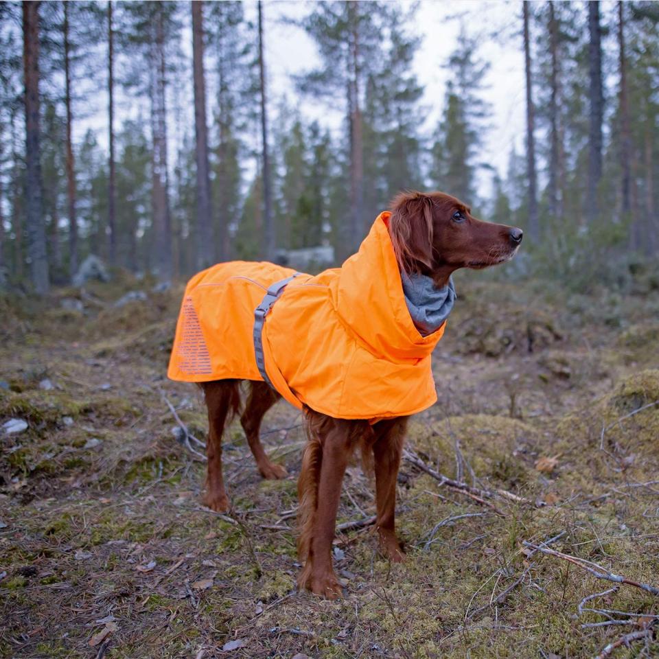 Hurtta Extreme Warmer Dog Winter Jacket. 