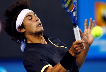 Australia's Nick Lindahl returns a shot against Finland's Jarkko Nieminen at the Australian Open tennis tournament in Melbourne January 18, 2010. REUTERS/Daniel Munoz