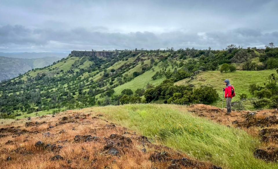 A hiker stops to take in the views atop the volcanic rock of the table mountains during a hike on the McKenzie Table Mountain Preserve through the Sierra Foothill Conservancy on Sunday, April 14, 2024.