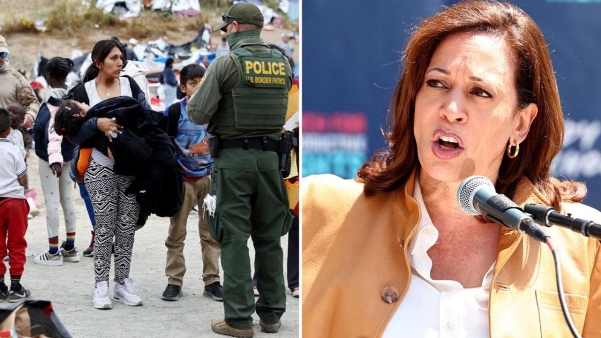 ‘Border czar’ Harris downplays migrant crisis during Georgia fundraising trip: ‘Going rather smoothly’