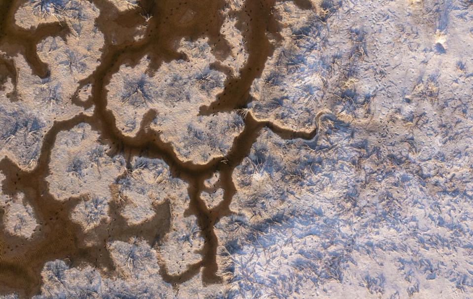 An aerial view of the Colorado River Delta in Baja California.