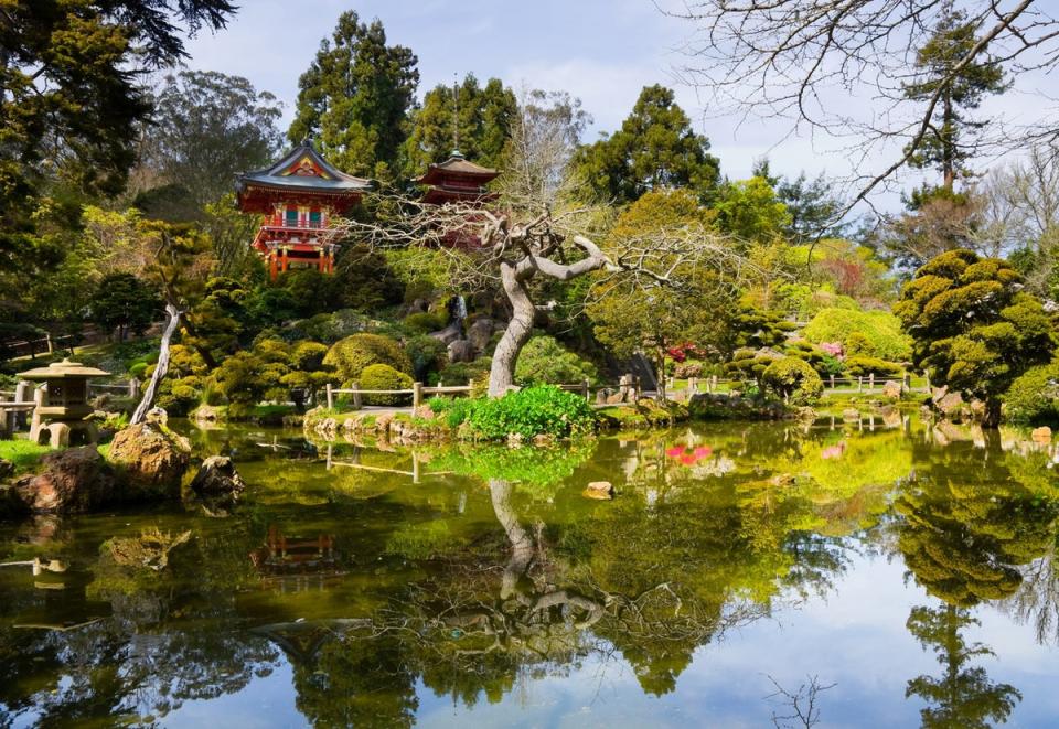 Wander the Japanese Tea Garden in Golden Gate Park (Getty/iStock) (Getty Images/iStockphoto)