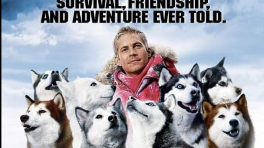 eight below