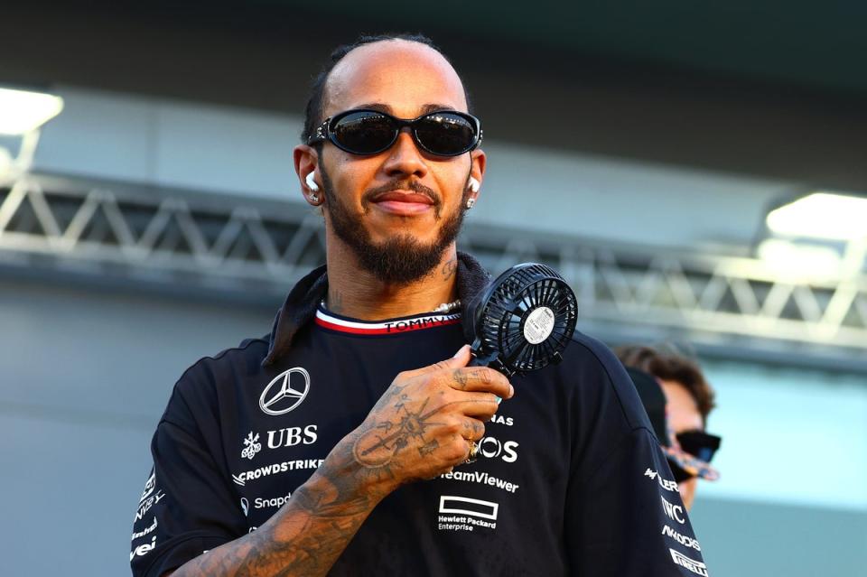 Lewis Hamilton is a seven-time F1 world champion (Getty Images)