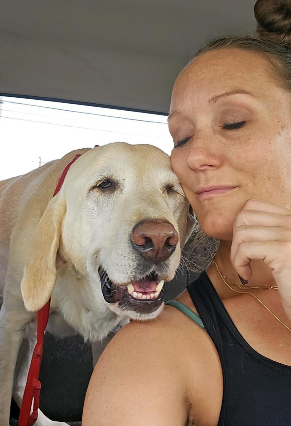 Amanda House, with her dog Tucker, a 7-year old American Yellow Lab, who was diagnosed with a possible case of the mysterious illness being found in dogs this year. Tucker started showing signs of the illness in September and lasted for over a month. The infection, that is being referred to as the "mysterious illness" was confirmed to House that this was more than likely what Tucker was experiencing.