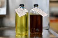 Canola oil at the Parkland Fuel laboratory in Burnaby