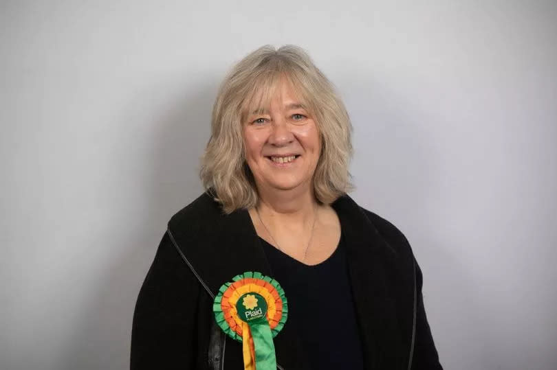 Ann Griffith, North Wales PCC candidate for Plaid Cymru -Credit:Plaid Cymru