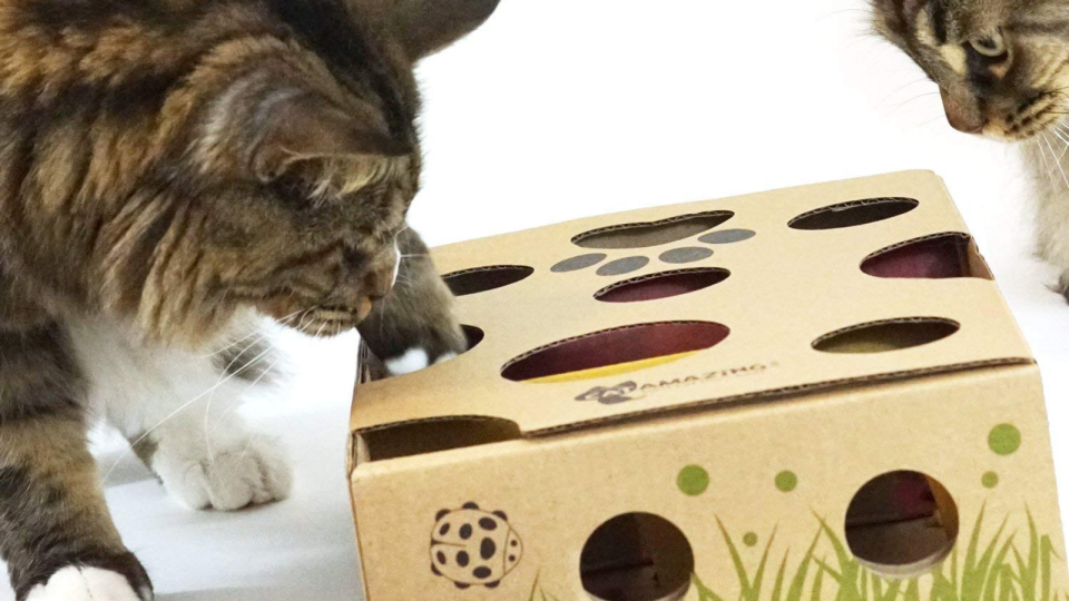 Best cat gifts: Cat Amazing Interactive Treat Maze & Puzzle Feeder