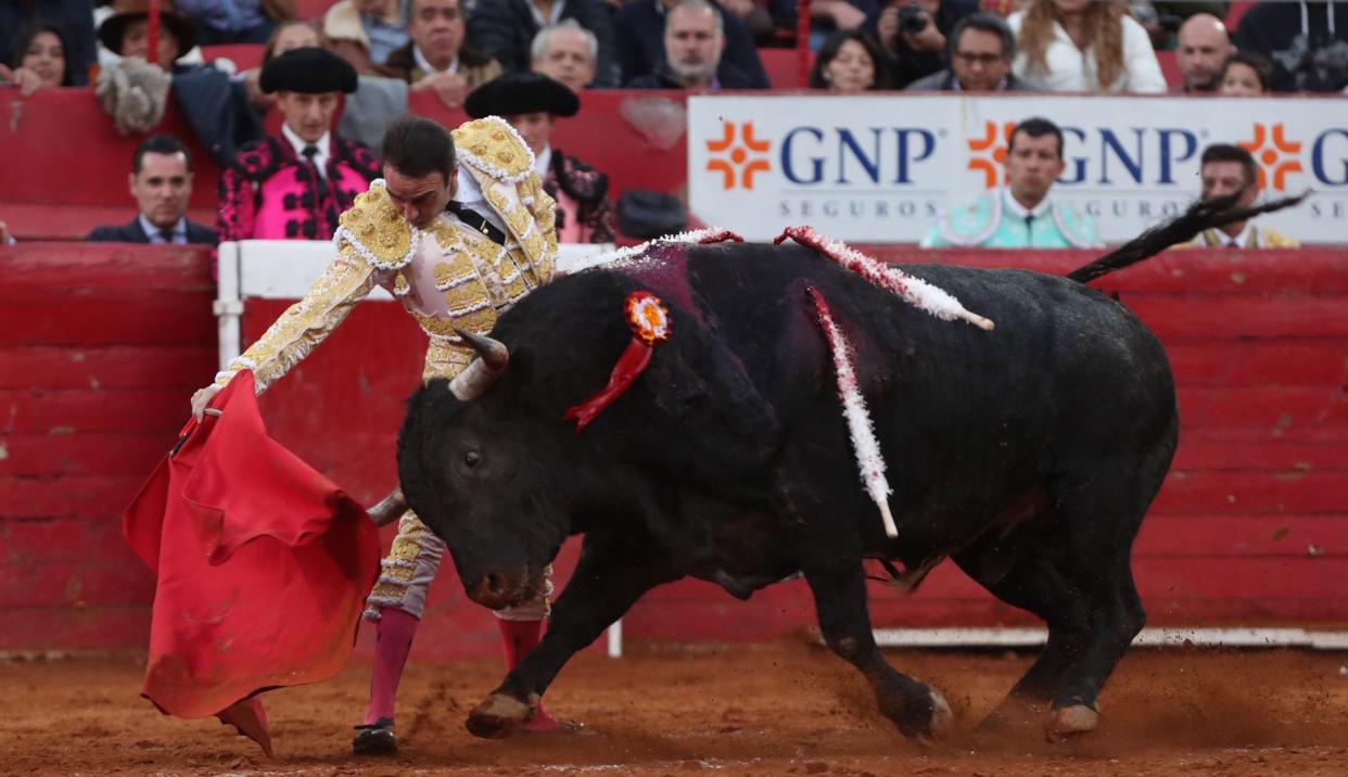 Diputados discutirán con gremio taurino antes de prohibir corridas de toros en CDMX