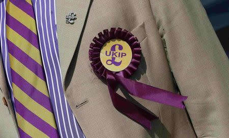 A supporter is seen wearing a United Kingdom Independence Party (UKIP) badge before meeting the leader of the party Nigel Farage, at a campaign event in South Ockendon, Essex in this May 23, 2014 file photo. REUTERS/Suzanne Plunkett/Files