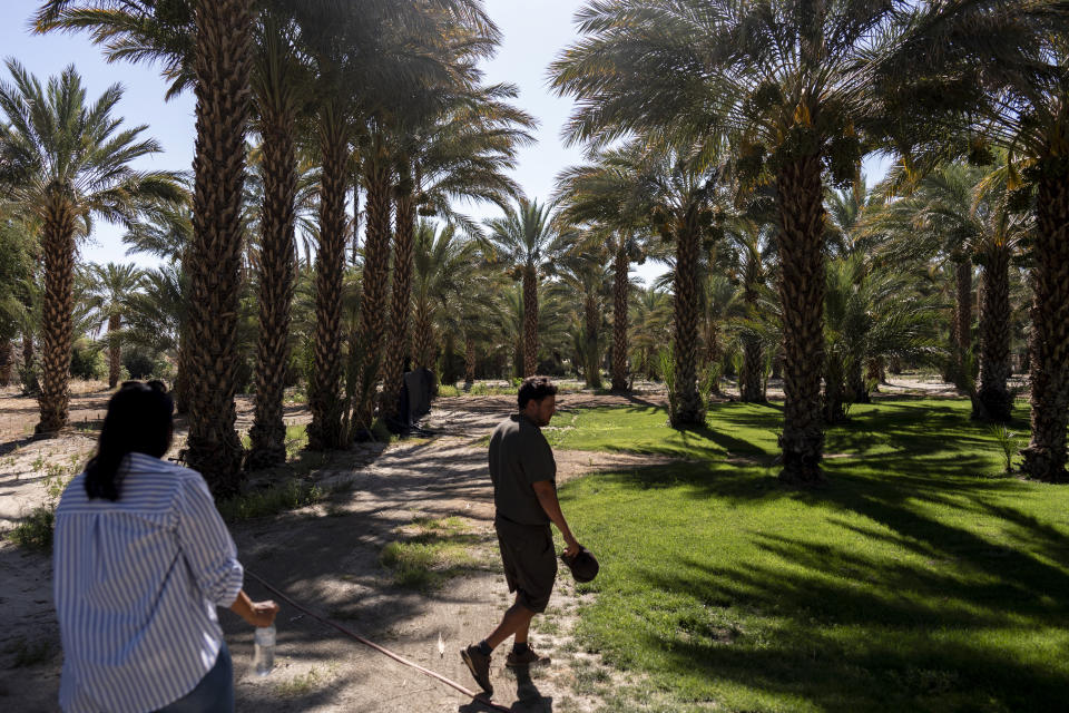 Date palm ranch owners Claudia Lua Alvarado, left, and husband, Juan, walk across their ranch between palm trees in Coachella, Calif., Tuesday, June 11, 2024. Lua Alvarado has staked her future on the rows of towering date palms behind the home where she lives with her husband and two children in a desert community east of Los Angeles. (AP Photo/Jae C. Hong)