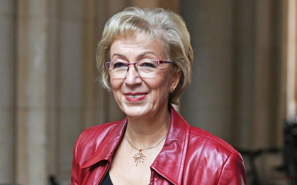 Dame Andrea Leadsom was appointed public health minister on Nov 13
