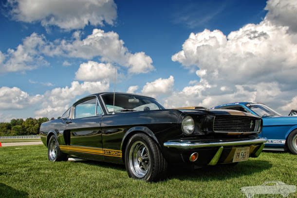 Shelby GT350H