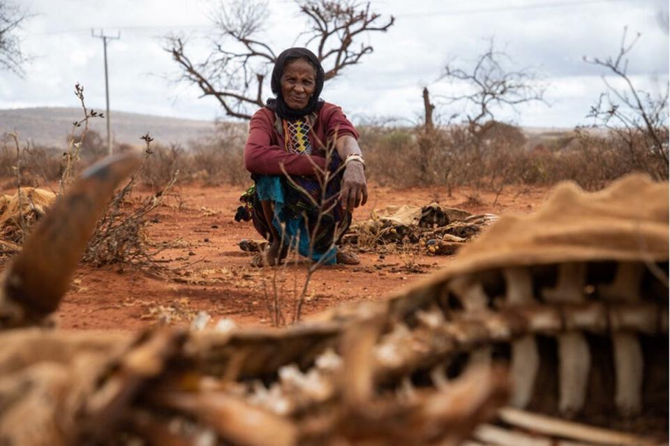 Tume Gerbole, who lives near Oromia in Ethiopia, receives assistance under WFP’s safety net programme, having lost more than 20 of her cattle due to persistent droughts (WFP/Michael Tewelde)