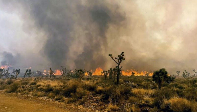 The York Fire exploded to 70,000 acres on Sunday after it was first reported on Friday in the Mojave National Preserve, southeast of Interstate 15 and near Mountain Pass.