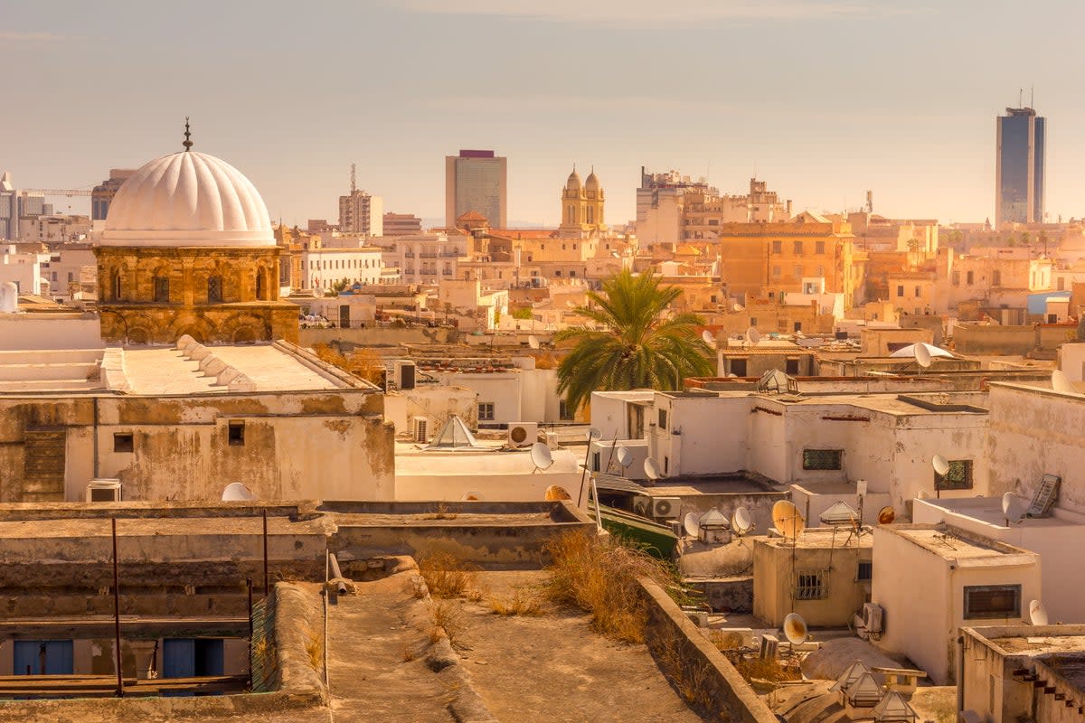 See the ancient treasures of Tunis on a tour of North Africa  (Getty Images/iStockphoto)