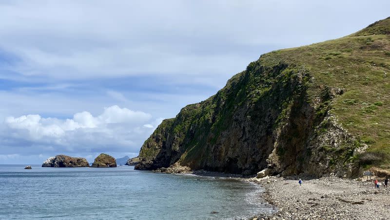 The Channel Islands are located off the coast of California, and in this May 4, 2023, photo, it was sunny and cool. The islands have a host of endemic species.