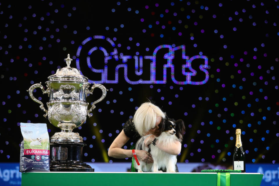 Dylan, a Papillon from Belgium, with owner Kathleen Roosens after winning the best in show during the final day of the Crufts Dog Show 2019 at the NEC in Birmingham (Picture: PA)