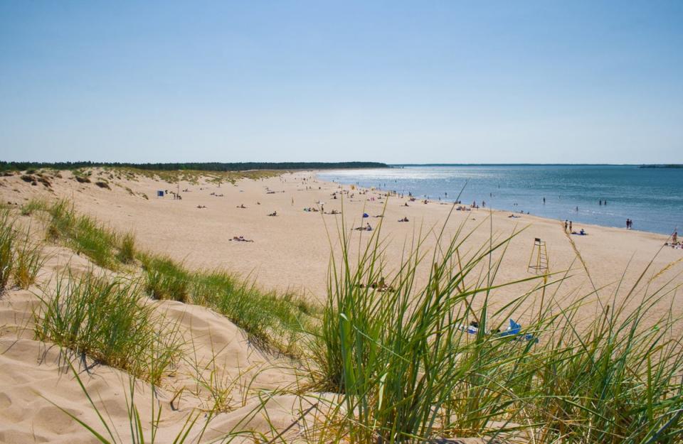 Windsurf, birdwatch and barbecue on Finland’s west coast Yyteri Beach (Getty)