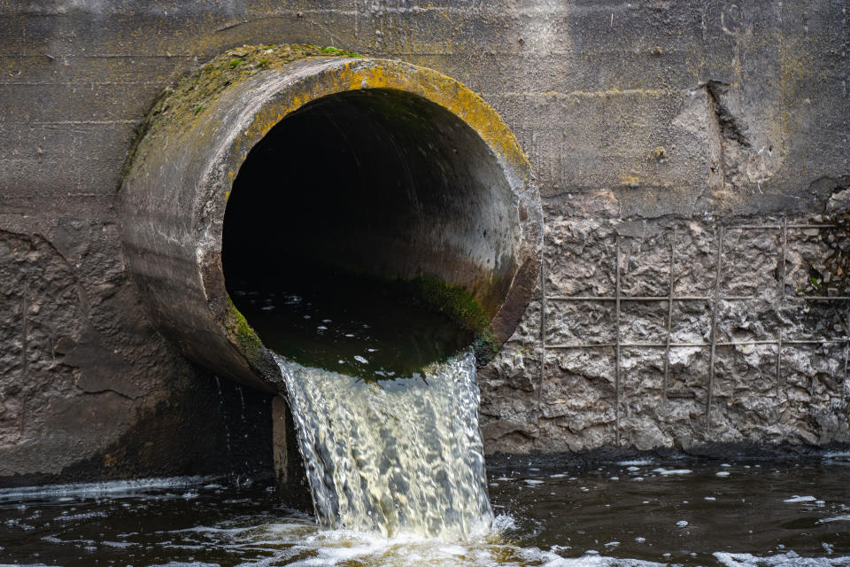 Millones de personas toman agua contaminada con PFAS en Estados Unidos a diario (Foto:Getty)