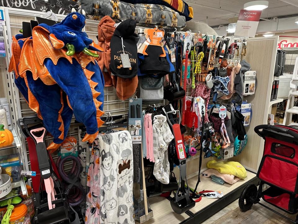 Pet Halloween costumes and accessories at HomeGoods