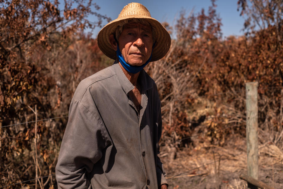 Joaquim Lopes, produtor rural, mostra a vegeta&#xe7;&#xe3;o queimada pela seca e geadas deste ano. (Foto: Gustavo Basso/Yahoo Not&#xed;cias)