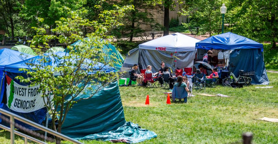 Demonstrators gather and talk in Dunn Meadow on May 10, 2024.