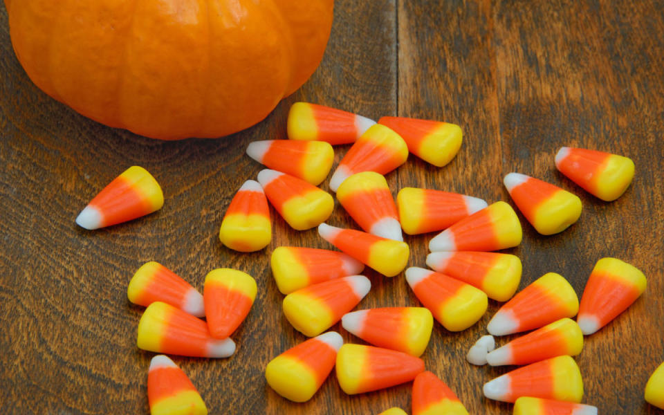 <p>iStock</p><p>Selling approximately 20 million pounds per year, <a href="https://www.yahoo.com/lifestyle/29-candy-corn-treats-shots-155949160.html" data-ylk="slk:candy corn;elm:context_link;itc:0;sec:content-canvas;outcm:mb_qualified_link;_E:mb_qualified_link;ct:story;" class="link  yahoo-link">candy corn</a>, to the bewilderment of many, remains at the top of the Halloween candy food chain. Goelitz Confectionery Co. claims to have first commercially produced the tricolored triangular candy in 1898. So how is candy corn made? The 4-5 day process starts with a wet slurry mixture that is later deposited, colored layer by colored layer, into trays lined with cornstarch that has been imprinted with the signature triangle shape. The kernels are then polished with glaze and edible wax in rotating steel pans to achieve that smooth, glossy finish.</p><p><strong>Related: </strong><strong><a href="https://parade.com/842765/lisawaddle/candy-corn-whoopie-pies/" rel="nofollow noopener" target="_blank" data-ylk="slk:Candy Corn Whoopie Pies;elm:context_link;itc:0;sec:content-canvas" class="link ">Candy Corn Whoopie Pies</a></strong></p>