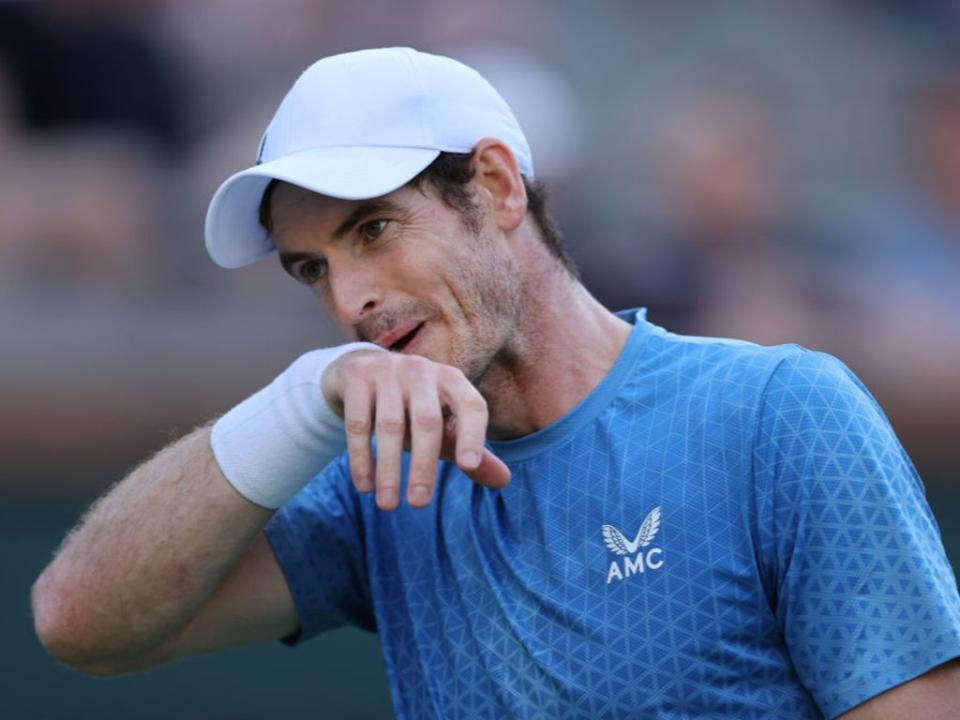 Murray has confirmed he will not take part in the Davis Cup (Getty Images)
