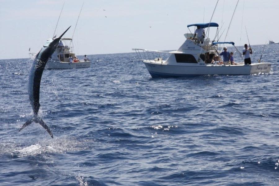 ¡Te mostramos los mejores lugares para pescar en Baja California!