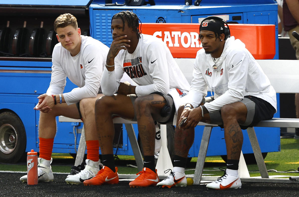 tee higgins and joe burrow