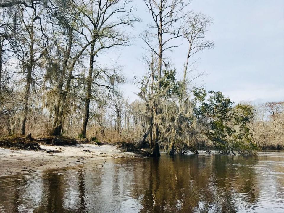 Parker’s Ferry on the Edisto River is the site of a Patriot victory during the Revolutionary War. Gen. Francis Marion, the famous “Swamp Fox,” and his men successfully ambushed a pursuing patrol of Loyalist, British and German troops as they charged along the causeway leading to the river. Today, the approximate location is a sandy beach with Spanish moss-draped trees. Matt Richardson/Special to The Island Packet and Beaufort Gazette