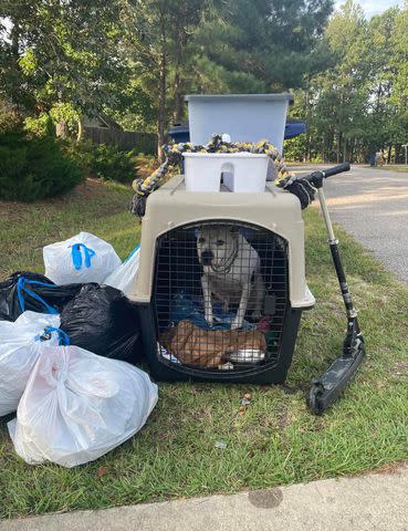 <p>Hoke Co. Animal Shelter/Facebook</p> Moe-Moe the dog left out with the garbage before his rescue by the Hoke County Animal Shelter in North Carolina