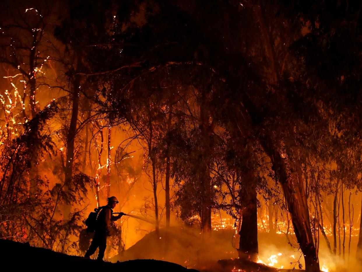 A firefighter battles a wildfire known as the Maria Fire in Somis, California in October: AP