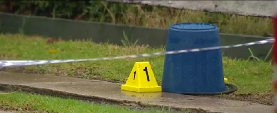 Wollongong murder: Detective Inspector Brad Ainsworth said the woman had 