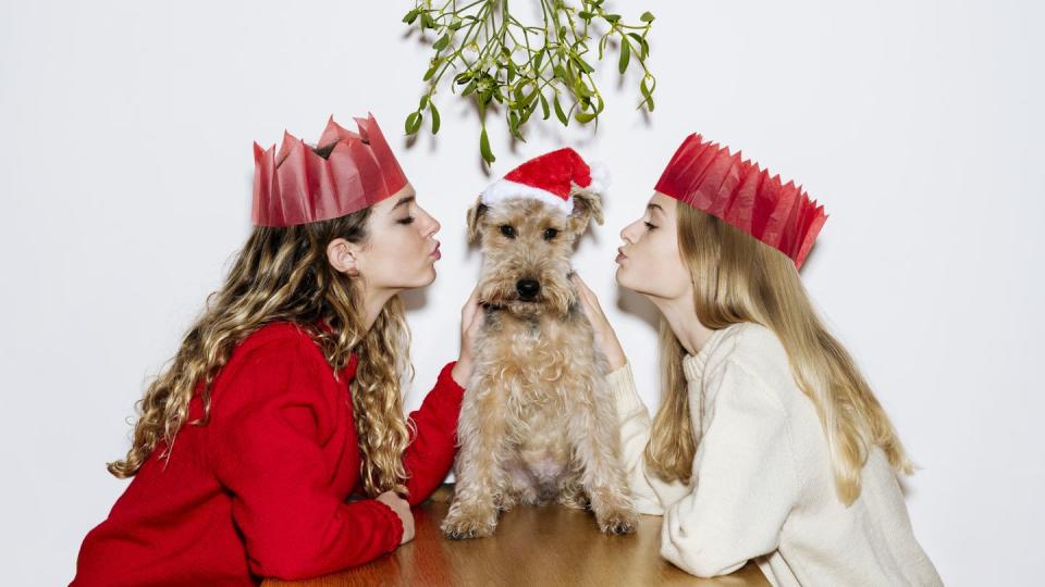 sisters pucker up to kiss pet dog under mistletoe