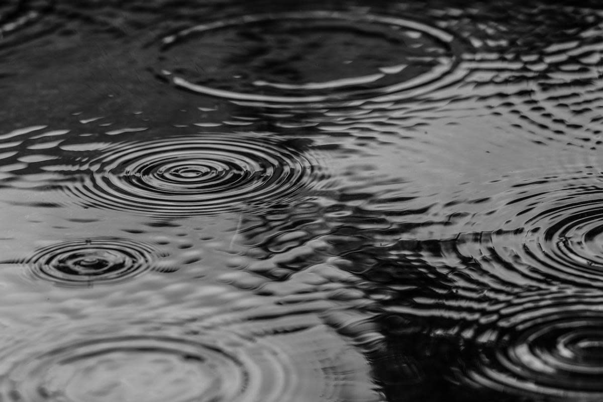 A file picture of rain <i>(Image: Pixabay)</i>