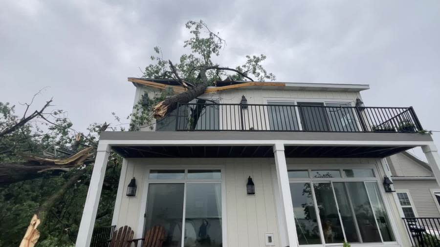 A tree limb that fell on Rocky and Vickie Ybarra's house in Muskegon. (June 25, 2024)