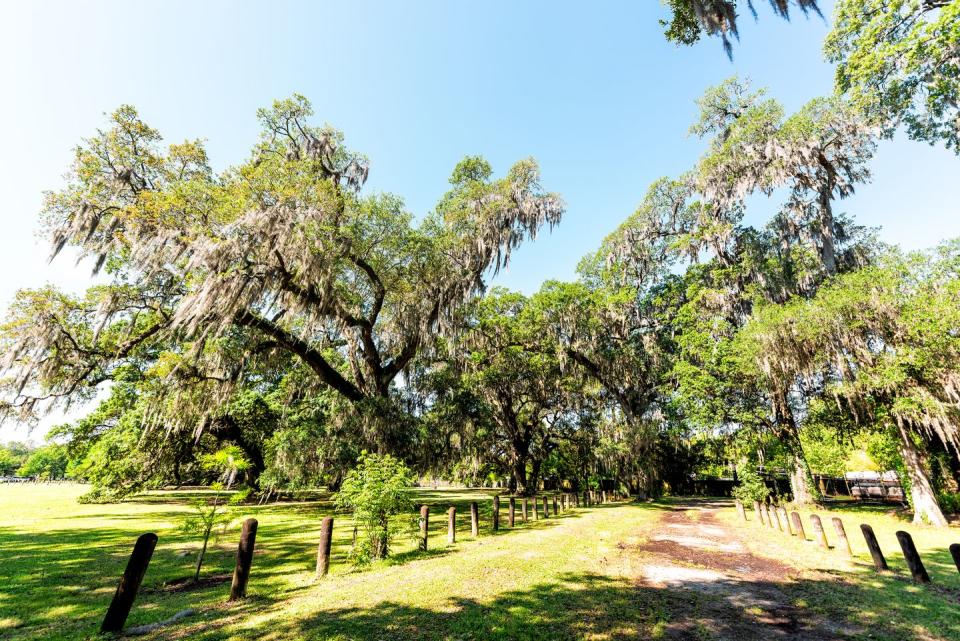 18) Louisiana: Audubon Park Trail