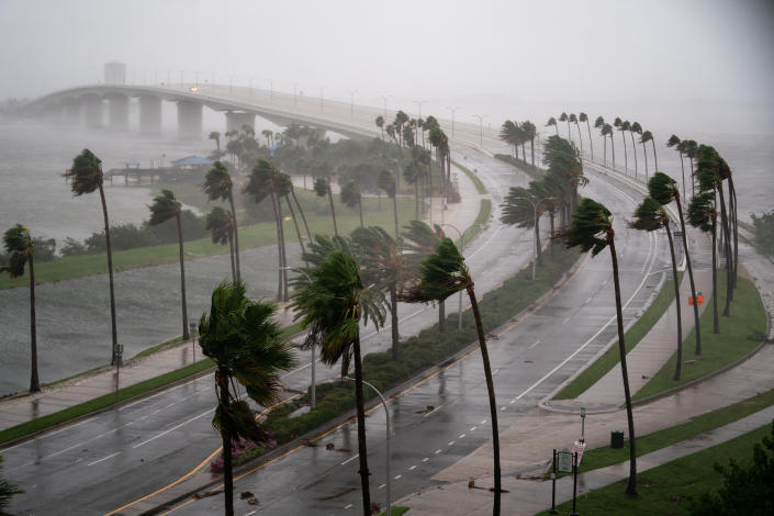 An aerial shot of a highway causeway with palm trees battered by the wind.