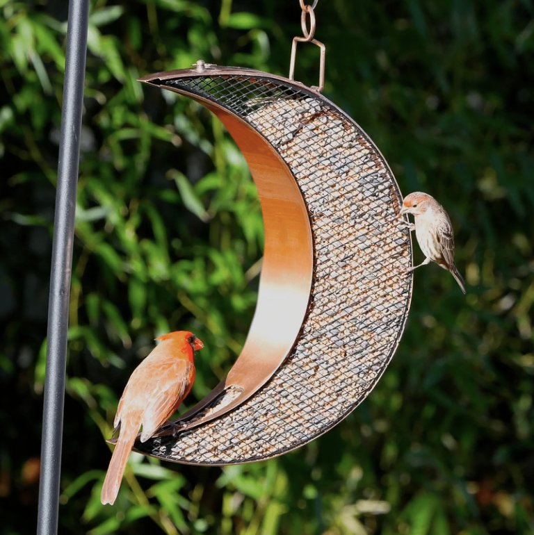 Good Directions Over The Moon Large Size Copper Bird Feeder ($69)