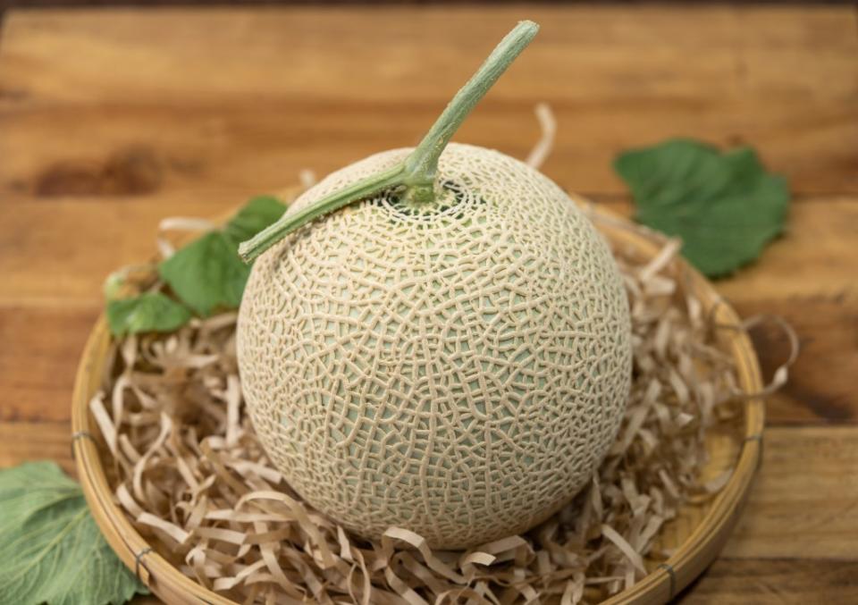 Musk melons are grown using the “one tree, fruit method,” in which each tree harbors only one melon to maximize the flavor. Juraiwan – stock.adobe.com