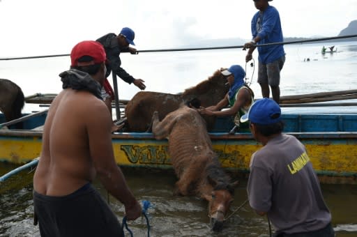 Since the latest bout of activity there have been calls to keep people, once and for all, from living on the island