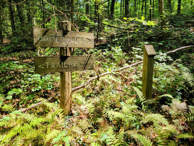 <p>Korrin Bishop</p> The hike to the Massengale Homeplace winds through a mixed hardwood forest.